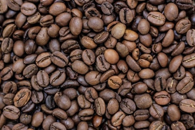 About Coffee Haven